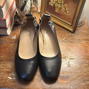 Everlane Black Flats with Elastic Edge and Matte Finish